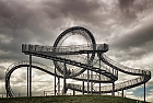 "Tiger and Turtle"