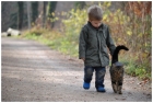 kid and the cat