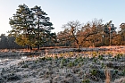 Winterheide