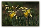 *** FROHE OSTERN ***