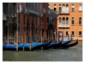 Gondeln gehren zu Venedig...