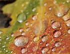 Herbstfarben und Regen