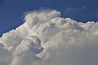 Segelflieger vor Wolkentrmen