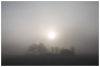 Nebel-Sonne-Htte