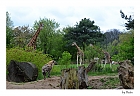 Afrika Flair im Leipziger Zoo