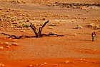 FS-in der Namib