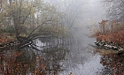 Nebel ber dem Teich