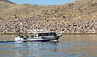 Titicacasee-Puno-Peru