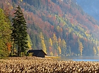 Herbst am Leopoldsteiner See