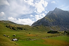 Alp Kuhdungel