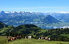 Alpen-Idylle
