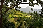 Landschaft auf Martinique