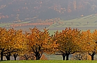 Impressionistische Herbstlandschaft