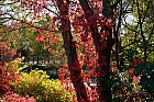 Herbst am Fluss Orb