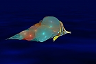 BlueBubbelFish ...