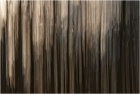 Wald abstract